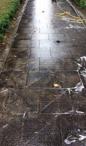 Driveway Cleaning BEFORE